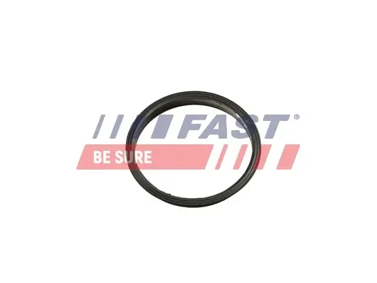 Прокладка вакуумного насоса Ford Transit (13-) 2.2TDCI Fast FAST FT49853 (фото 1)