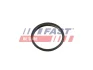 Прокладка вакуумного насоса Ford Transit (13-) 2.2TDCI Fast FAST FT49853 (фото 1)