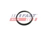 Прокладка вакуумного насоса Ford Transit (13-) 2.2TDCI Fast FAST FT49853 (фото 2)