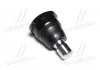 Опора кульова нижня Mazda 2 07- Demio 07- Toyota Yaris 16- Ford Fiesta 11-18 (вироб-во) CTR CB0293 (фото 1)