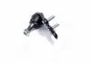 Опора кульова нижня R Toyota Camry 40 50 Avalon 05-07 Lexus ES350 07- (виробництво) CTR CB0426 (фото 2)