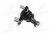 Опора шаровая нижняя Toyota Avensis 220 97-03 (произ-во) CTR CB0437 (фото 4)