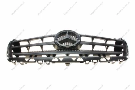 Решетка радиатора Rotweiss RWS2809