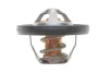 Термостат CHRYSLER ASPEN/DODGE DAKOTA/RAM/GRAND CHEROKEE 3.7-5.0i 99- (91C) MOTORAD 420-91K (фото 1)