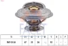 Термостат BMW 3(E36)/5(E39) 1.6-2.8 i 89-00 (92C) з прокладкою FACET 7.8302S