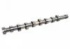 FEBI Вал распределительный Berlingo,C3/4/5,DS,Jumpy,Peugeot,Ford C-Max II,Fiesta VI,Focus III,Mondeo IV 1.6HDI/TDCi FEBI BILSTEIN 172680 (фото 1)