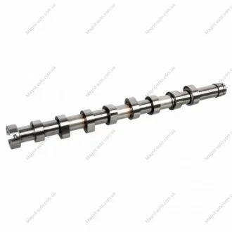FEBI вал розподільчий Berlingo,C3/4/5,DS,Jumpy,Peugeot,Ford C-Max II,Fiesta VI,Focus III,Mondeo IV 1.6HDI/TDCi FEBI BILSTEIN 172680