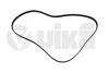 Ремінь поліклінової 6PK1736 Skoda Fabia (07-14,14-),Octavia (04-13)/VW Golf (03-12) vika Vika 22600870801 (фото 1)