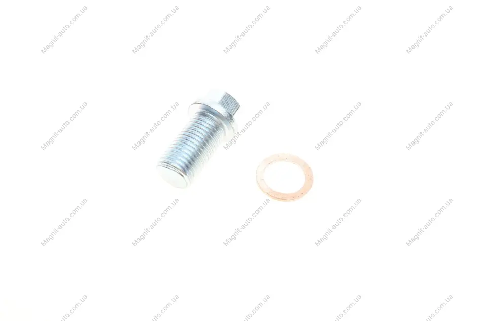 Болт зливу оливи + шайба Aic 56424 (фото 1)