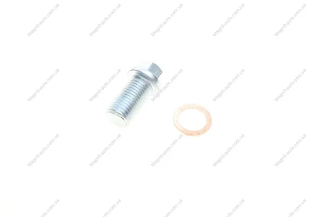Болт зливу оливи + шайба Aic 56424