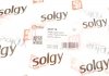 Важіль підвіски Solgy 204119 (фото 3)