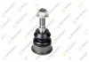 DODGE Опора шаровая верхняя RAM 1500 06- TEKNOROT DO-364
