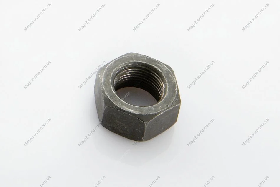 Гайка M 20x1,5/DIN 934/DIN EN ISO 8673-8 PE AUTOMOTIVE 070.217-00A (фото 1)