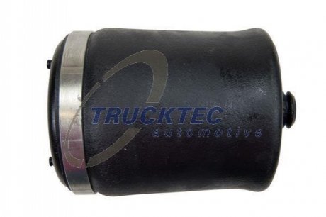 Подушка пневмоподвески (сзади) BMW X5 00-06 (L) TRUCKTEC 0830046