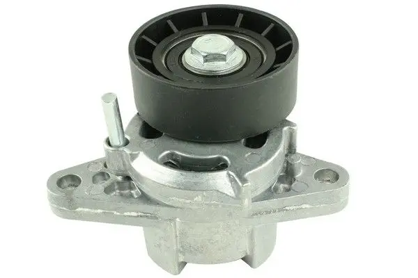 Micro belt tensioner set 16v FAST FT44625 (фото 1)