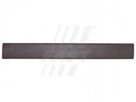 Exterior moulding side p/l FAST FT90789