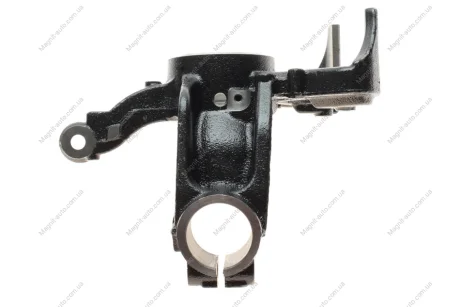 Кулак поворотний Aic 55698