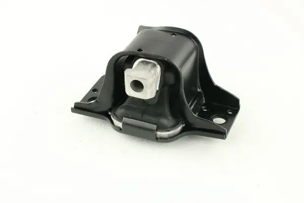Подушка Двигуна RENAULT Kangoo 08- R Масляна 1.6 FAST FT52593 (фото 1)