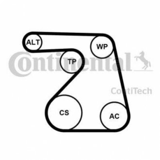 Автозапчастина Contitech 6PK1217K2