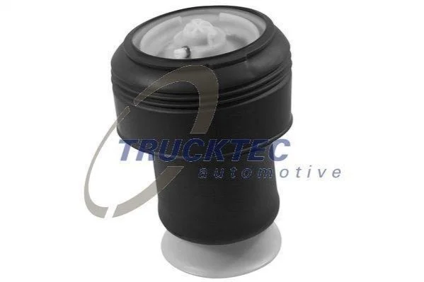 Подушка пневматична зад. TRUCKTEC 08.30.049 (фото 1)