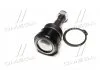Опора кульова нижня Mitsubishi Colt 04-12 OLD CBM-42 (вироб-во) CTR CB-0261 (фото 4)