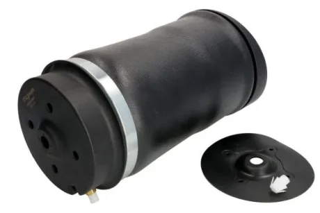 Автозапчастина MAGNUM TECHNOLOGY MZM010MT