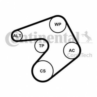 Автозапчастина Contitech 6PK1205K1