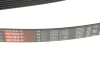 Ремінь генератора BMW E90/E60 N52/N53 04-13/MB W166/212 OM651 09- Gates 6PK1995 (фото 2)