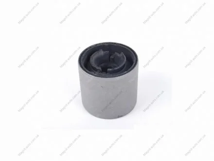 KAUTEK-TEKNOROT BMW С/блок переднего нижнего рычага MINI 01- Kautek MN-BS004