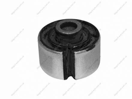 KAUTEK-TEKNOROT BMW С/блок заднього важеля E53 X5 00- Kautek BM-BS062