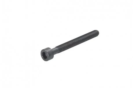 Болт монтажний (x M6 x 55) VW MULTIVAN T5, PHAETON, TOUAREG, TRANSPORTER T5 2.5D/5.0D 10.02-05.10 ENGITECH ENT280101