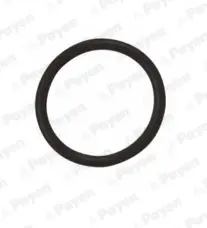 Уплотняющее кольцо маслосливной пробки OPEL/CHEVROLET 18*22*2 резина (произ-во) Payen LA5120 (фото 1)