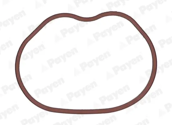 Прокладка колектора IN FORD 1.25/1.4/1.6 16V/HWDA/HWDB (4) (вир-во) Payen JD6166 (фото 1)