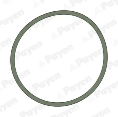 Прокладка коллектора IN VAG 1.4 16V/1.6 16V (4) (произ-во) Payen JD5228 (фото 1)