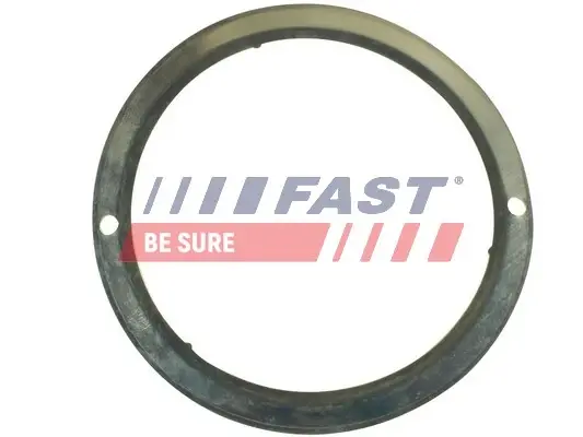 Прокладка глушника Fiat Ducato (06-) Fast FAST FT84587 (фото 1)