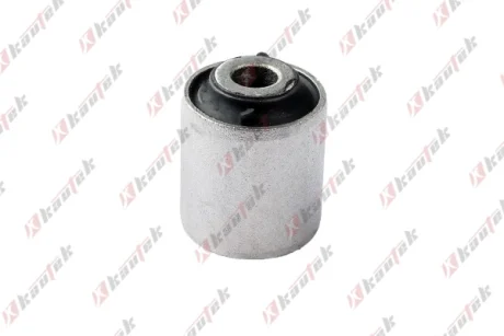 KAUTEK-TEKNOROT DB С/блок важеля задньої підвіски Smart Fortwo 07- Kautek SM-BS005
