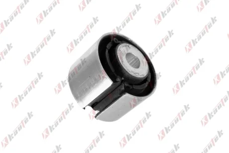 -TEKNOROT BMW С/блок заднього важеля 7 F01,5 F10 Kautek BM-BS087