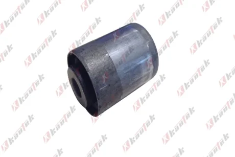 KAUTEK-TEKNOROT CHRYSLER С/блок передн.важеля 300C Kautek CR-BS011