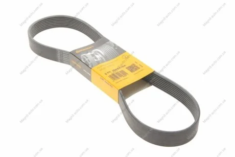 Ремень генератора поликлиновый Contitech 8PK954 EXTRA