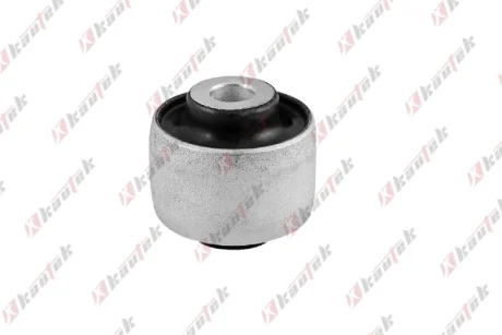 KAUTEK-TEKNOROT VOLVO С/блок переднього важеля S60/80,XC70 00- Kautek VO-BS023