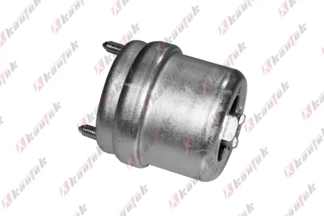 KAUTEK-TEKNOROT VW подушка двигуна прав. T4 90- Kautek VW-EM065