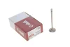 Клапан впускний Vika 11090759301 (фото 2)