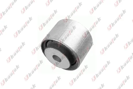 KAUTEK-TEKNOROT DB С/блок важеля заднього W211 Kautek ME-BS037