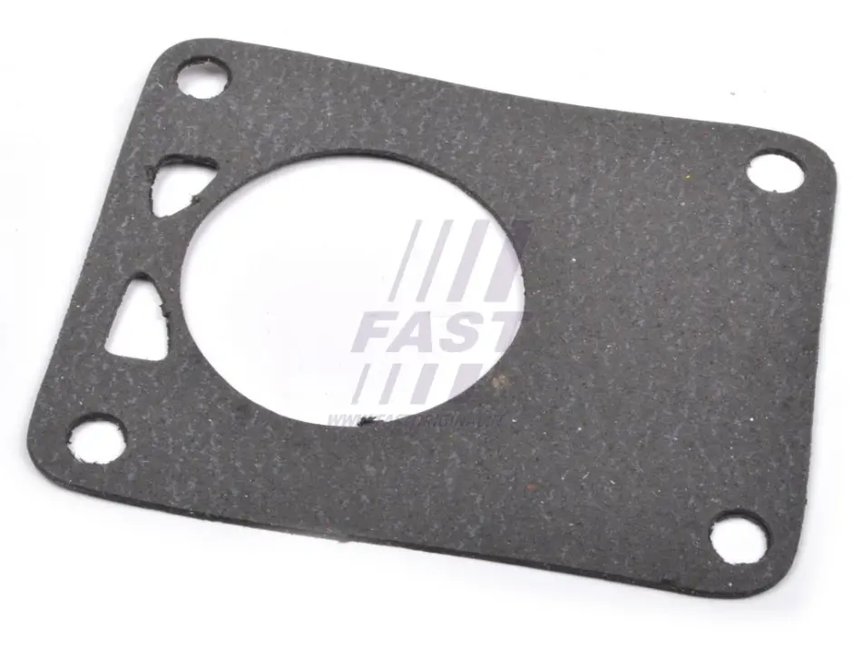 Прокладка вакуумного насоса Fiat Ducato (02-) Fast FAST FT49901 (фото 1)