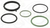 Комплект прокладок, водяний насос BMW B46 B20/B47 D20/B58 B30 (вир-во Elring) ELRING 078.580 (фото 1)