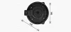 Вентилятор обігрівача салону Chevrolet Captiva (06-), Epica (06-) AVA AVA COOLING OL8728 (фото 3)