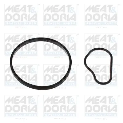 Ремкомплект вакуумного насоса MEAT&DORIA 91252 (фото 1)