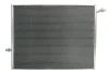 Радіатор THERMOTEC D7M069TT (фото 1)