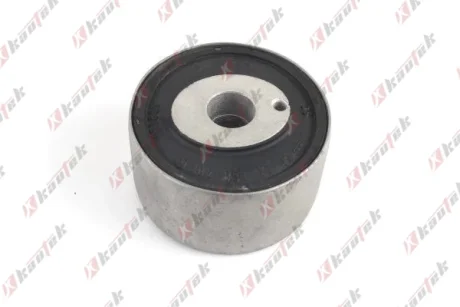 KAUTEK DB С/блок заднього важеля W202 Kautek ME-BS213