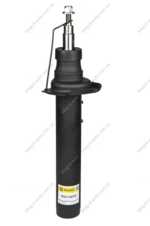 Амортизатор передній BMW X3 (F25)/X4 (F26) 10-18 Л. (газ.) RAISO RS314878